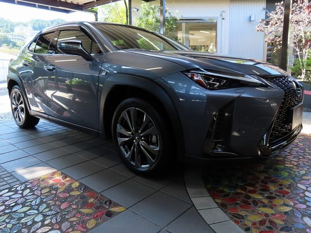 Lexus UX 2020-06 11519-9