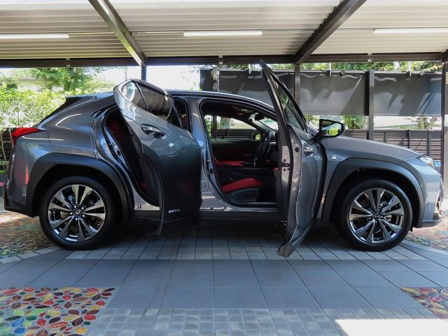 Lexus UX 2020-06 11519-11