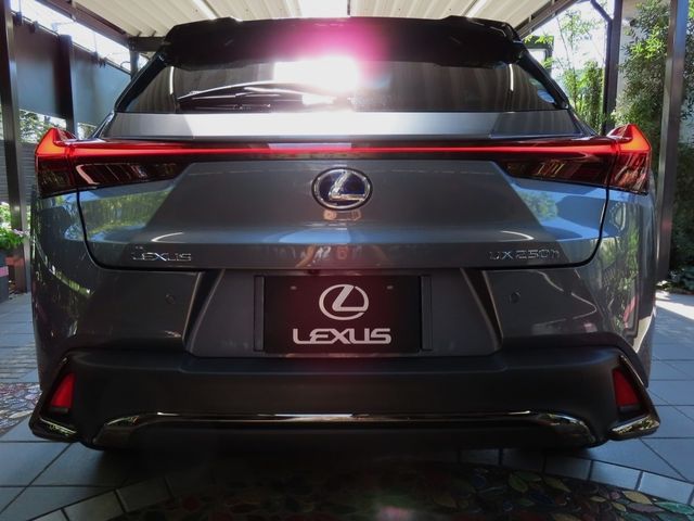 Lexus UX 2020-06 11519-5