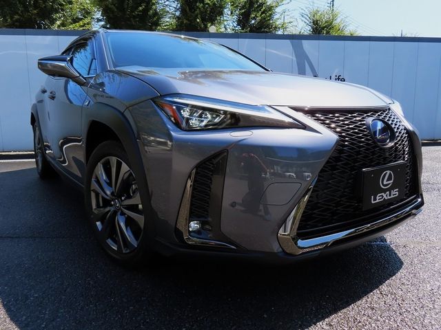 Lexus UX 2020-06 11519-27