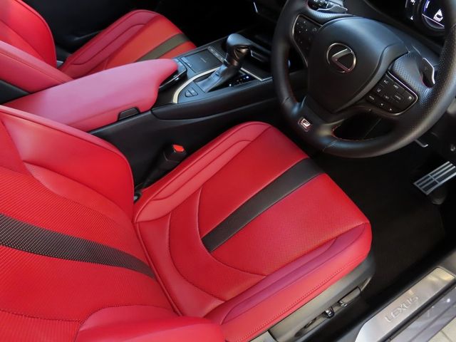Lexus UX 2020-06 11519-15