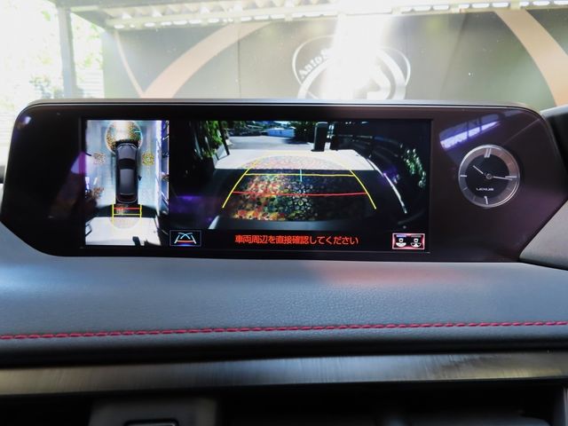 Lexus UX 2020-06 11519-22