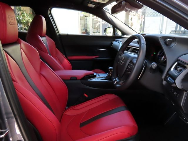 Lexus UX 2020-06 11519-12