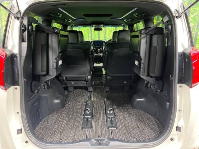 Toyota ALPHARD 2020-10 189925-10