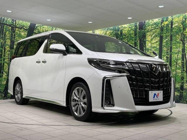 Toyota ALPHARD 2020-10 189925-16