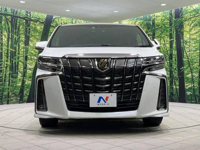 Toyota ALPHARD 2020-10 189925-14