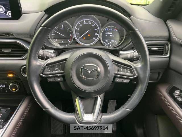 Mazda CX-8 2018-07 221642-11