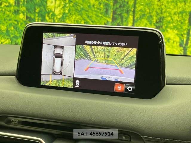 Mazda CX-8 2018-07 221642-4