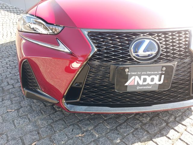Lexus IS 2017-06 186389-5