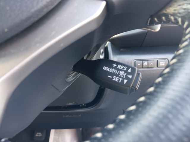 Lexus IS 2017-06 186389-19