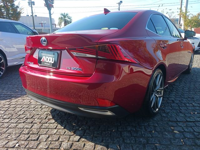 Lexus IS 2017-06 186389-6