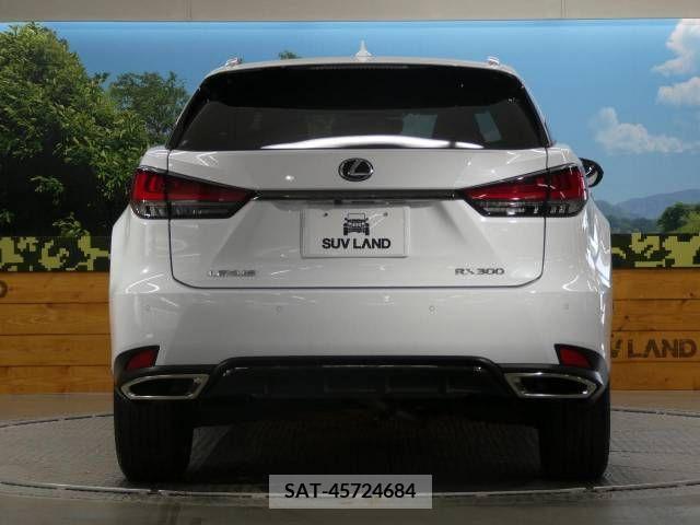 Lexus RX 2020-03 219109-15