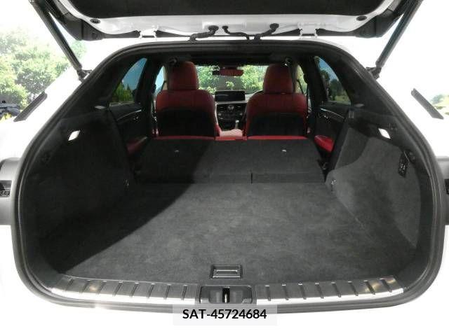 Lexus RX 2020-03 219109-10