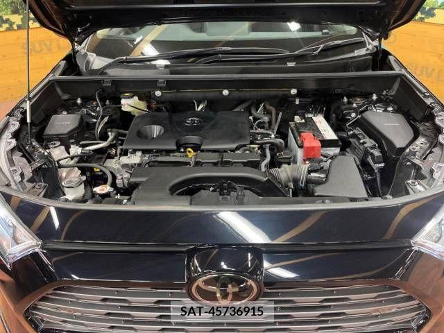 Toyota RAV4 2019-09 222294-19