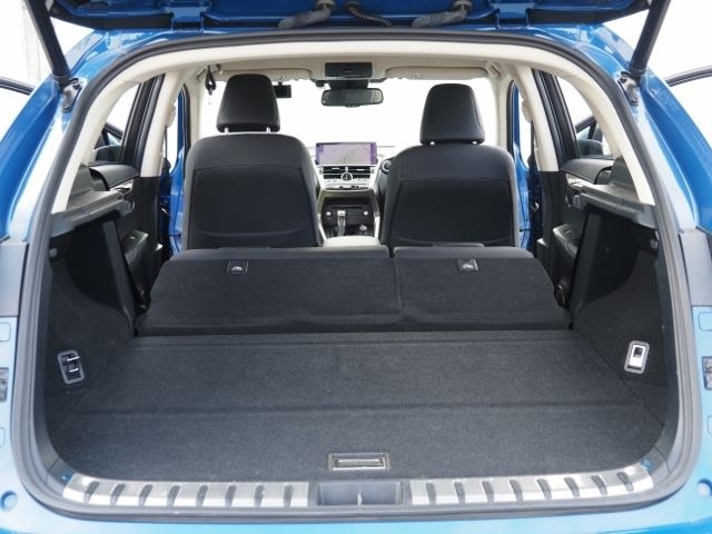 Lexus NX 2021-01 25402-18