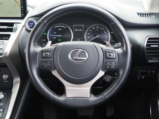 Lexus NX 2021-01 25402-19