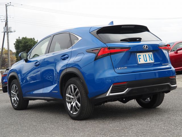 Lexus NX 2021-01 25402-5