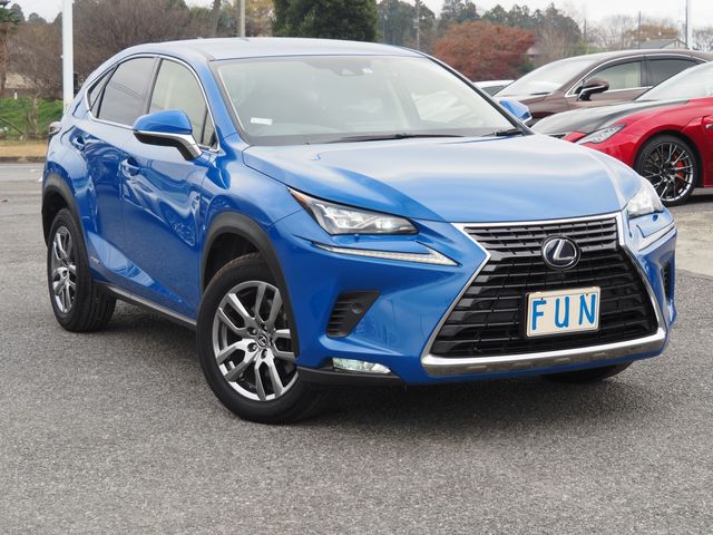 Lexus NX 2021-01 25402-2