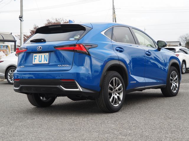 Lexus NX 2021-01 25402-4