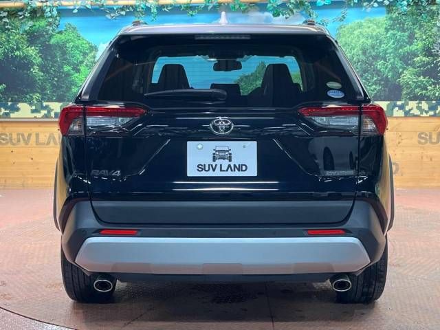 Toyota RAV4 2019-07 8094-16