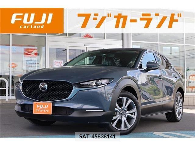 Mazda CX-30 2019-10 295581-0