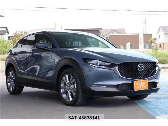 Mazda CX-30 2019-10 295581-2