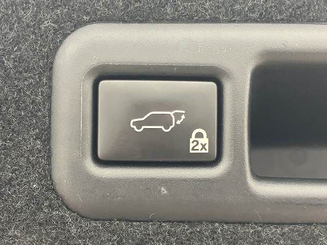Lexus RX 2016-11 28228-7