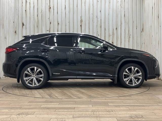 Lexus RX 2016-11 28228-13