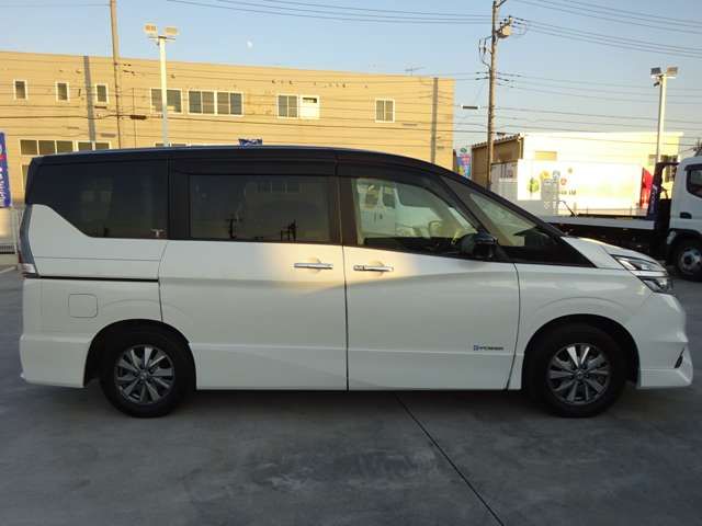 Nissan SERENA 2018-06 196265-9