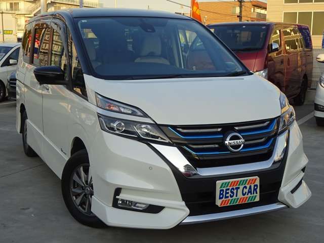 Nissan SERENA 2018-06 196265-15