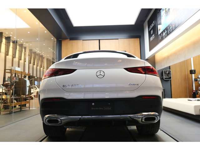 Mercedes Benz GLE-CLASS 2020-12 192513-7