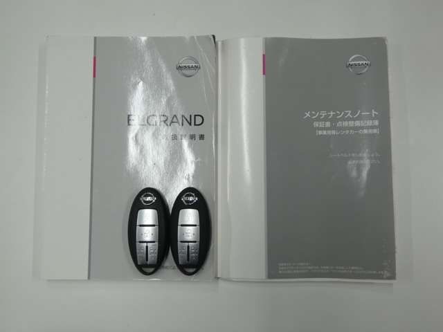 Nissan ELGRAND 2021-01 18068-27