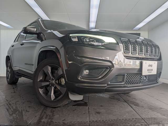 Jeep CHEROKEE 2021-05 10028-13