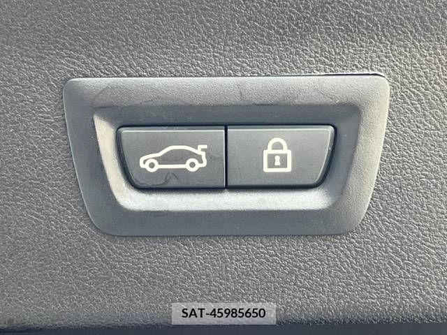 Bmw X4 2020-06 263100-7