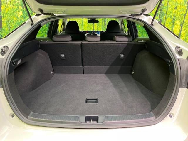 Toyota PRIUS 2019-06 192719-10