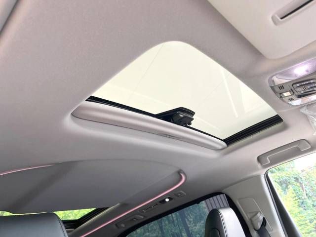 Toyota ALPHARD 2021-11 188154-2