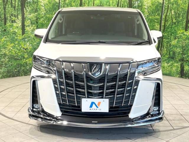Toyota ALPHARD 2021-11 188154-14