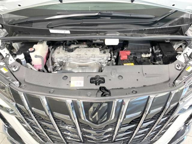 Toyota ALPHARD 2021-11 188154-18
