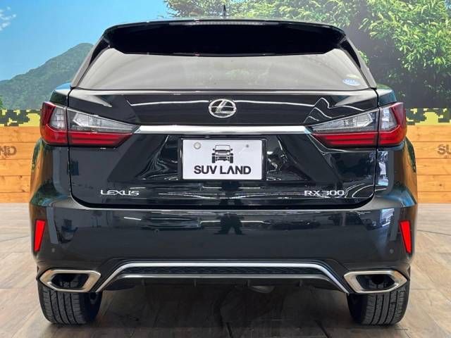 Lexus RX 2018-05 12323-15
