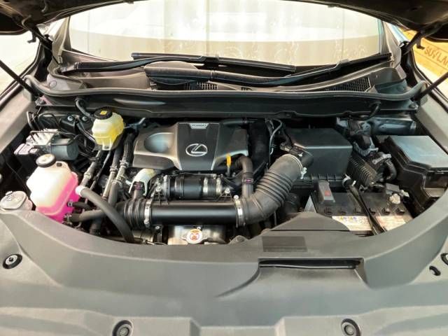 Lexus RX 2018-05 12323-18
