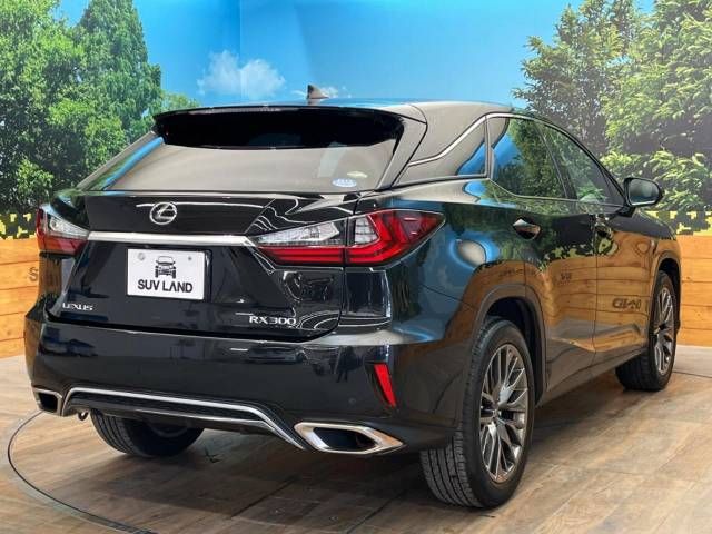 Lexus RX 2018-05 12323-17