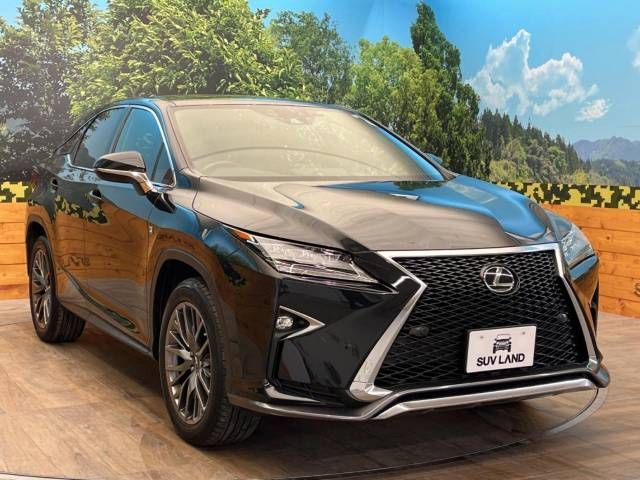 Lexus RX 2018-05 12323-16
