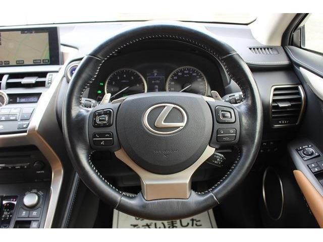 Lexus NX 2015-02 5888-16
