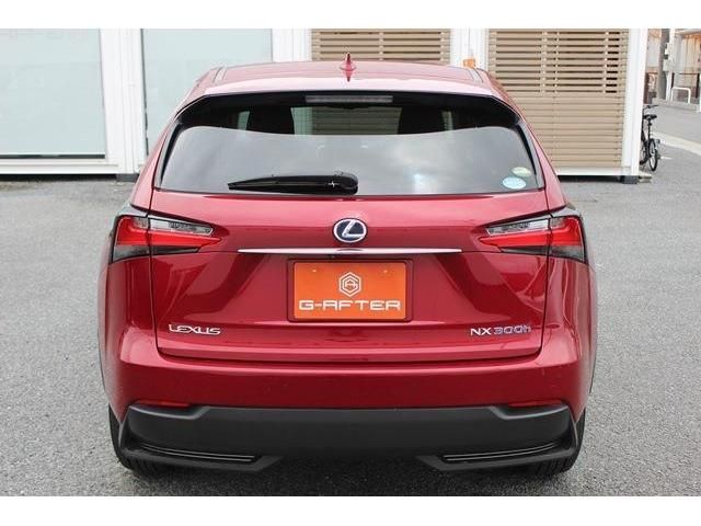 Lexus NX 2015-02 5888-9