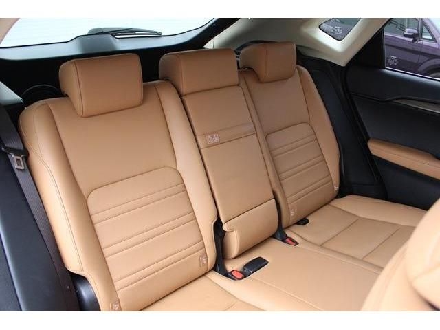 Lexus NX 2015-02 5888-15