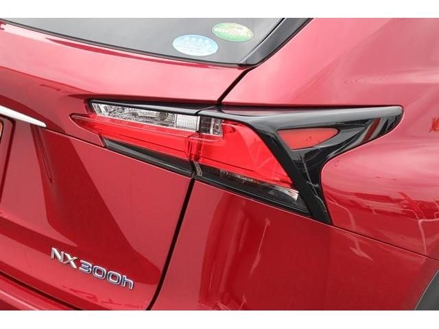 Lexus NX 2015-02 5888-12
