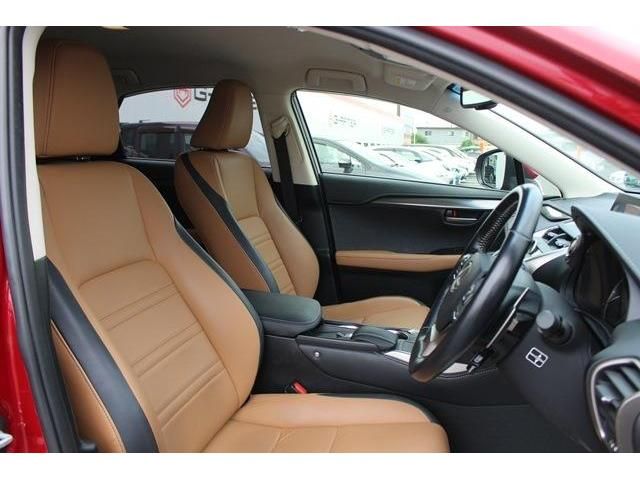 Lexus NX 2015-02 5888-14