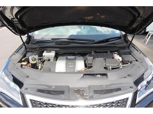 Lexus RX 2016-08 8686-18