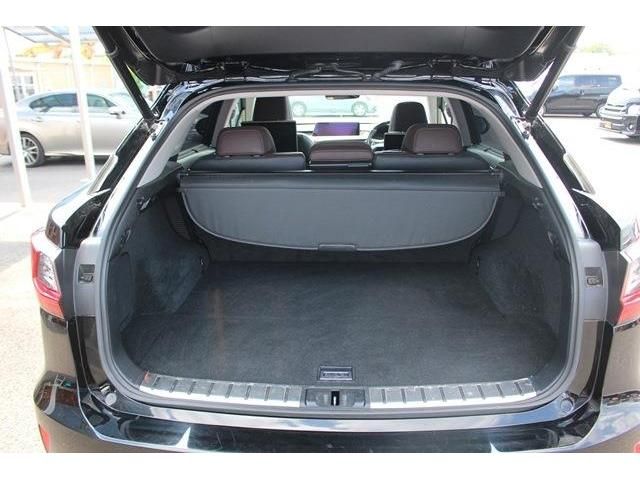 Lexus RX 2016-08 8686-17