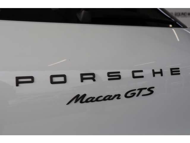 Porsche MACAN 2017-09 196605-10